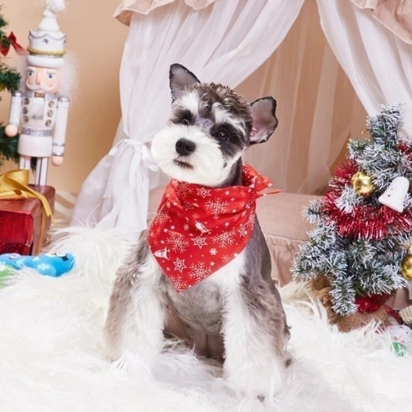 Christmas Snowflake Pet Bandana - Picture 1 of 4